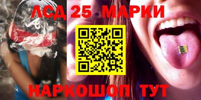 ALPHA PVP Гатчина