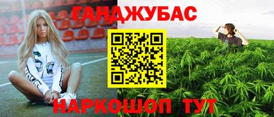 ALPHA PVP Гатчина