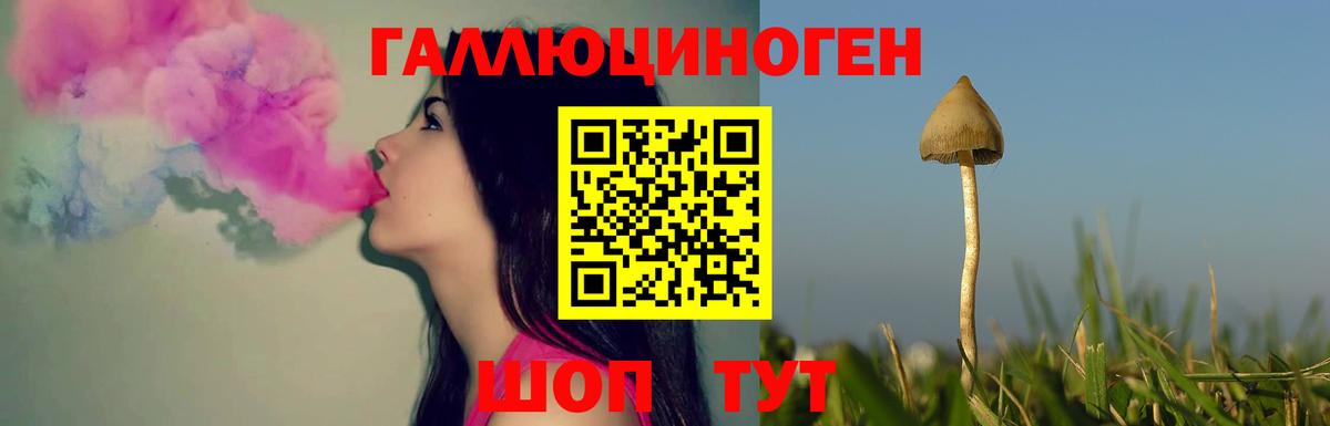 Псилоцибиновые грибы мицелий Соликамск